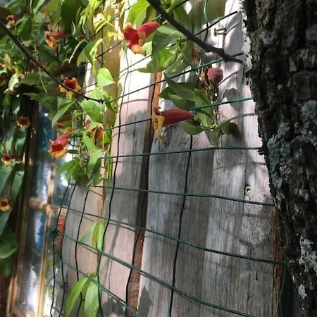 Casa de Férias Casacoquelicot Un Jardin Sud-americain En Provence