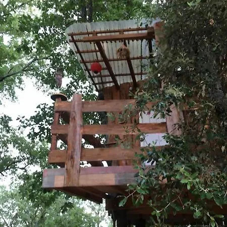 Casacoquelicot Un Jardin Sud-americain En Provence Holiday home