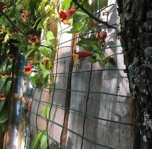 Ferienhaus Casacoquelicot Un Jardin Sud-americain En Provence