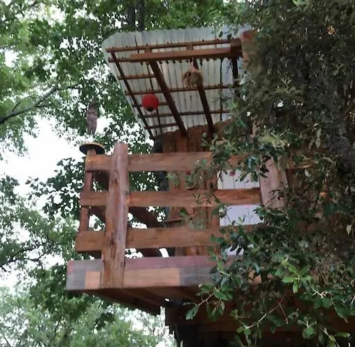 Casacoquelicot Un Jardin Sud-americain En Provence Ferienhaus