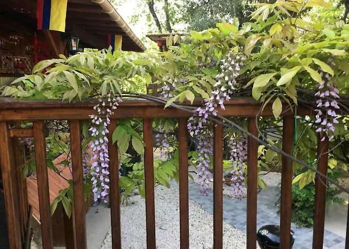 Ferienhaus Casacoquelicot Un Jardin Sud-americain En Provence